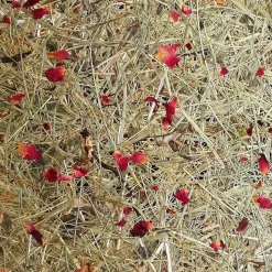 ALMUT 2610 vloerlamp, hooi met rode rozenblaadjes