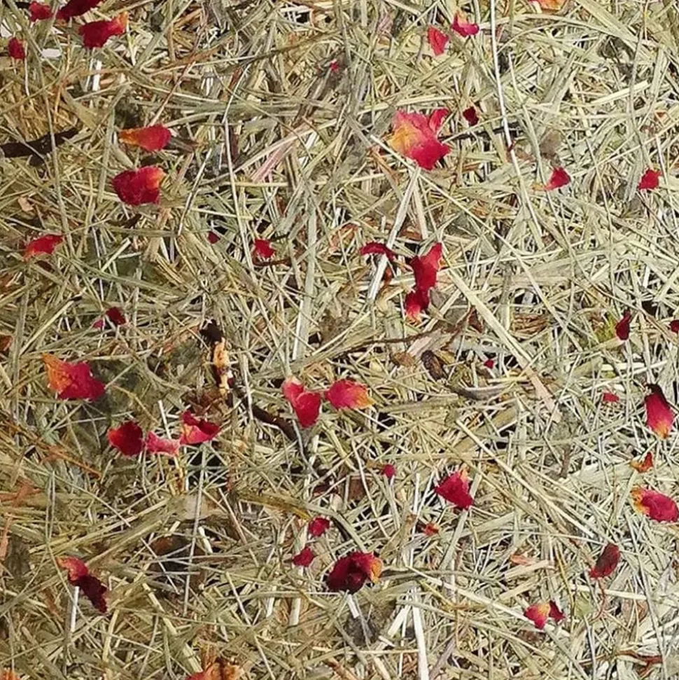 ALMUT 2610 wandlamp Ø 25cm