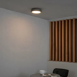 Anga LED buiten plafondlamp, donkergrijs, beton, Ø 24 cm