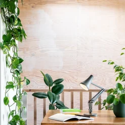 Anglepoise 90 Mini Mini LED tafellamp USB groen