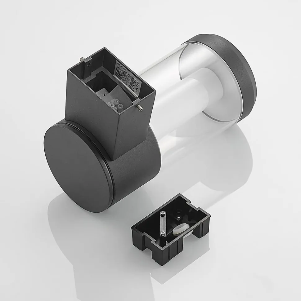 Arcchio Dakari LED buitenwandlamp, smart