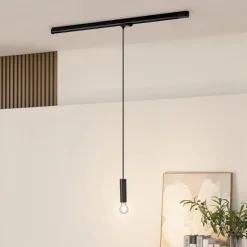 Arcchio Ejona track hanglamp zwart E27 4/15cm