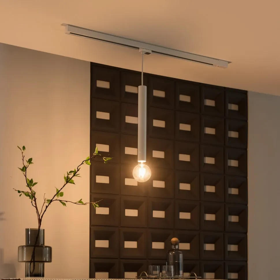 Arcchio Ejona track hanglamp wit E27 4/40cm