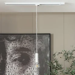 Arcchio Ejona track hanglamp wit E27 4/15cm