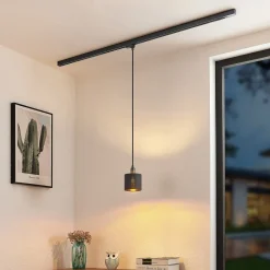 Arcchio Heleni hanglamp rail zwartgoud 12cm