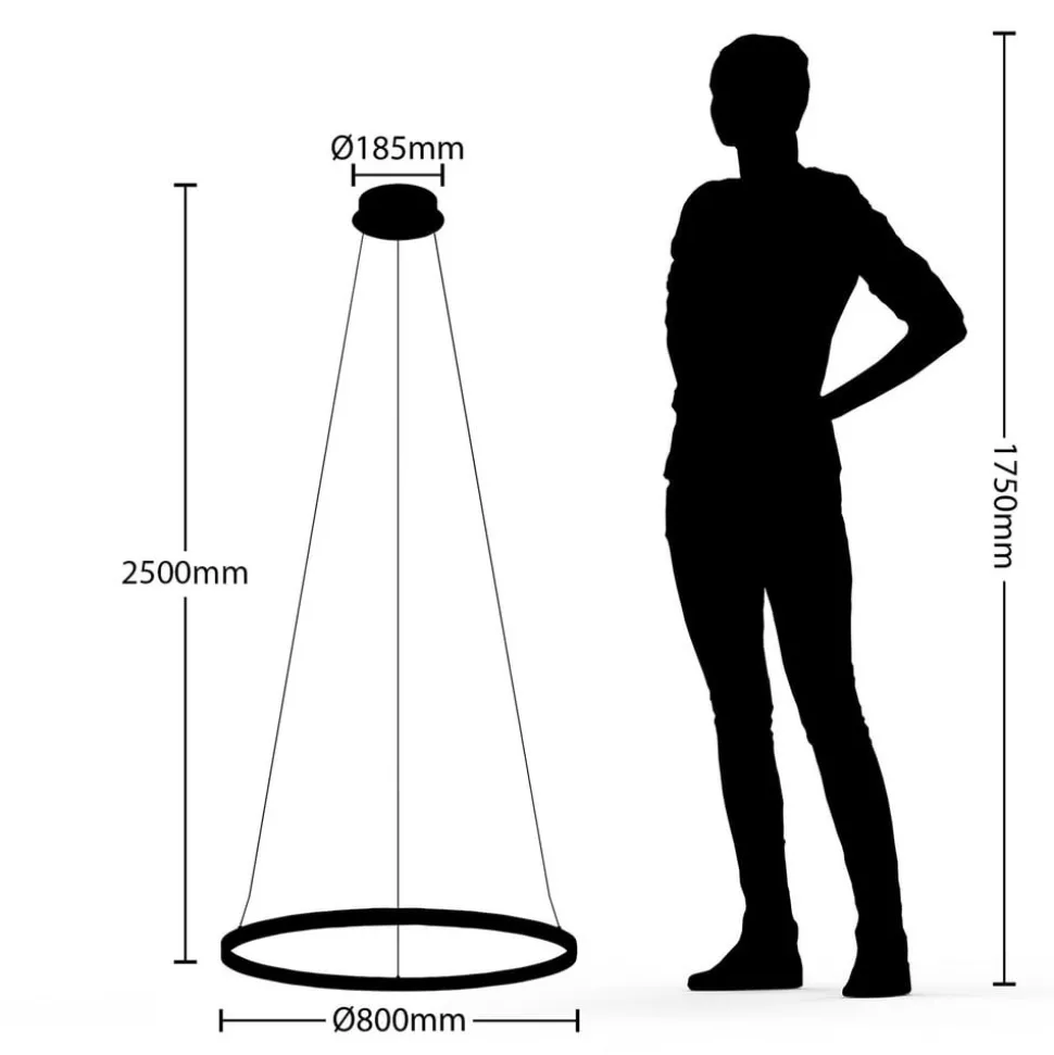 Arcchio LED hanglamp Albiona, zwart, 1 ring, Ø 80 cm