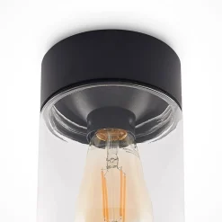 Arcchio Liljana buiten plafondlamp, IP65, zwart