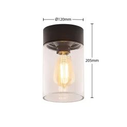 Arcchio Liljana buiten plafondlamp, IP65, zwart