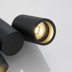 Arcchio plafondlamp Gesina, 2-lichts, zwart, aluminium, 17,5 cm