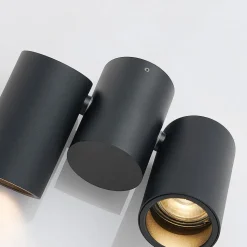 Arcchio plafondlamp Gesina, 2-lichts, zwart, aluminium, 17,5 cm