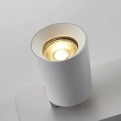 Arcchio plafondspot Iavo, 30 cm, wit, 2-lamps, metaal