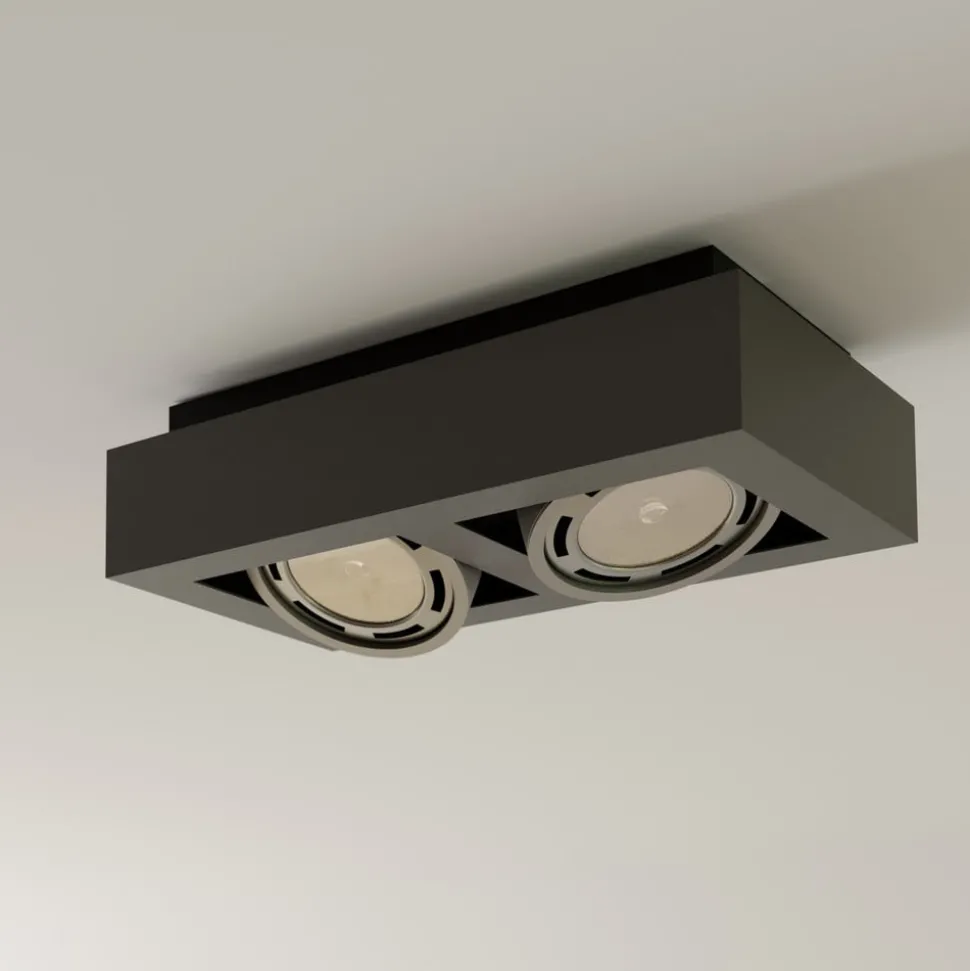 Arcchio plafondspot Ronka, 34 cm, 2-lamps, grijs, GU10