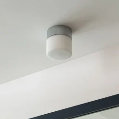 Arcchio Timaris LED badkamer-plafondlamp