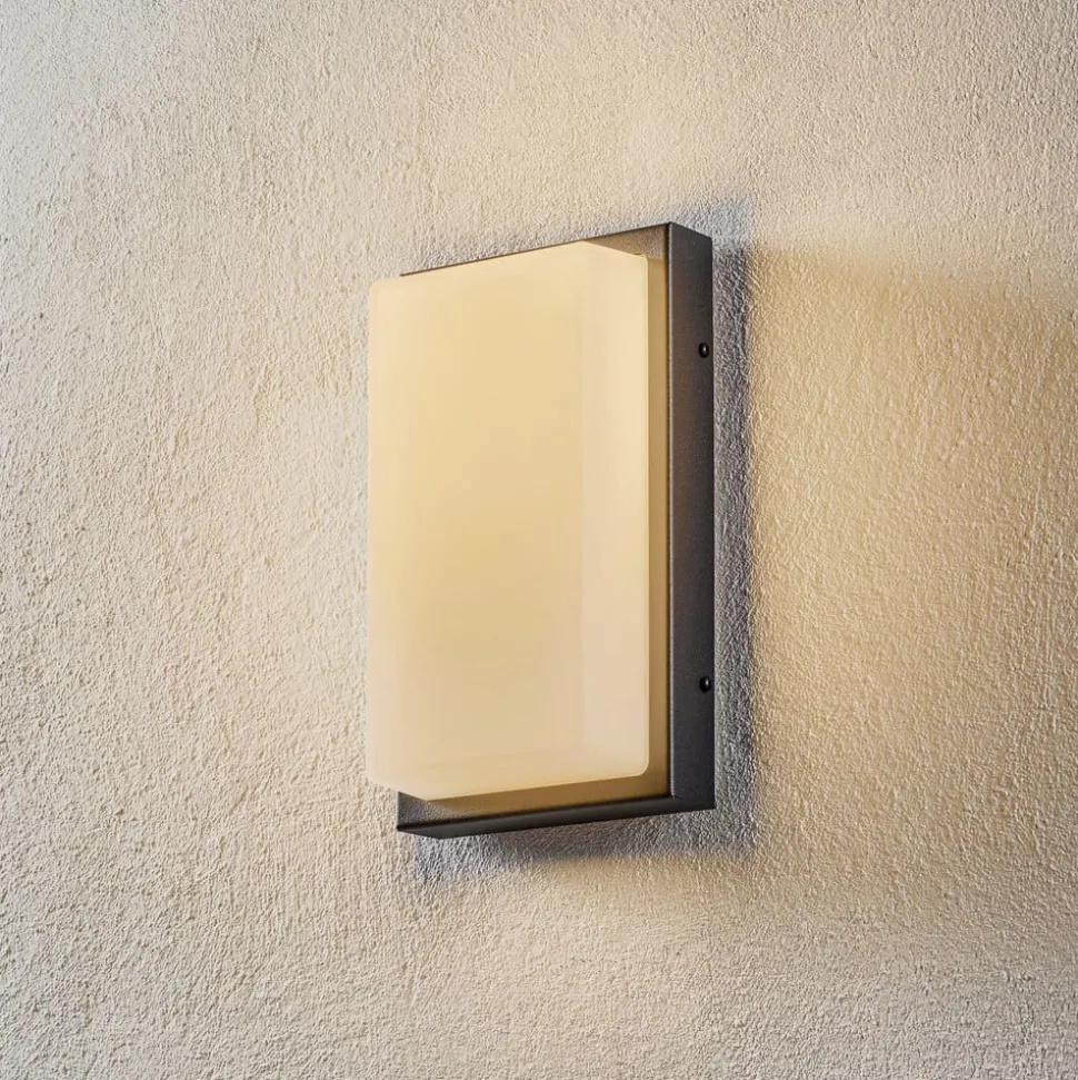 Babett LED buiten wandlamp, roestvrij staal, glas, sensor