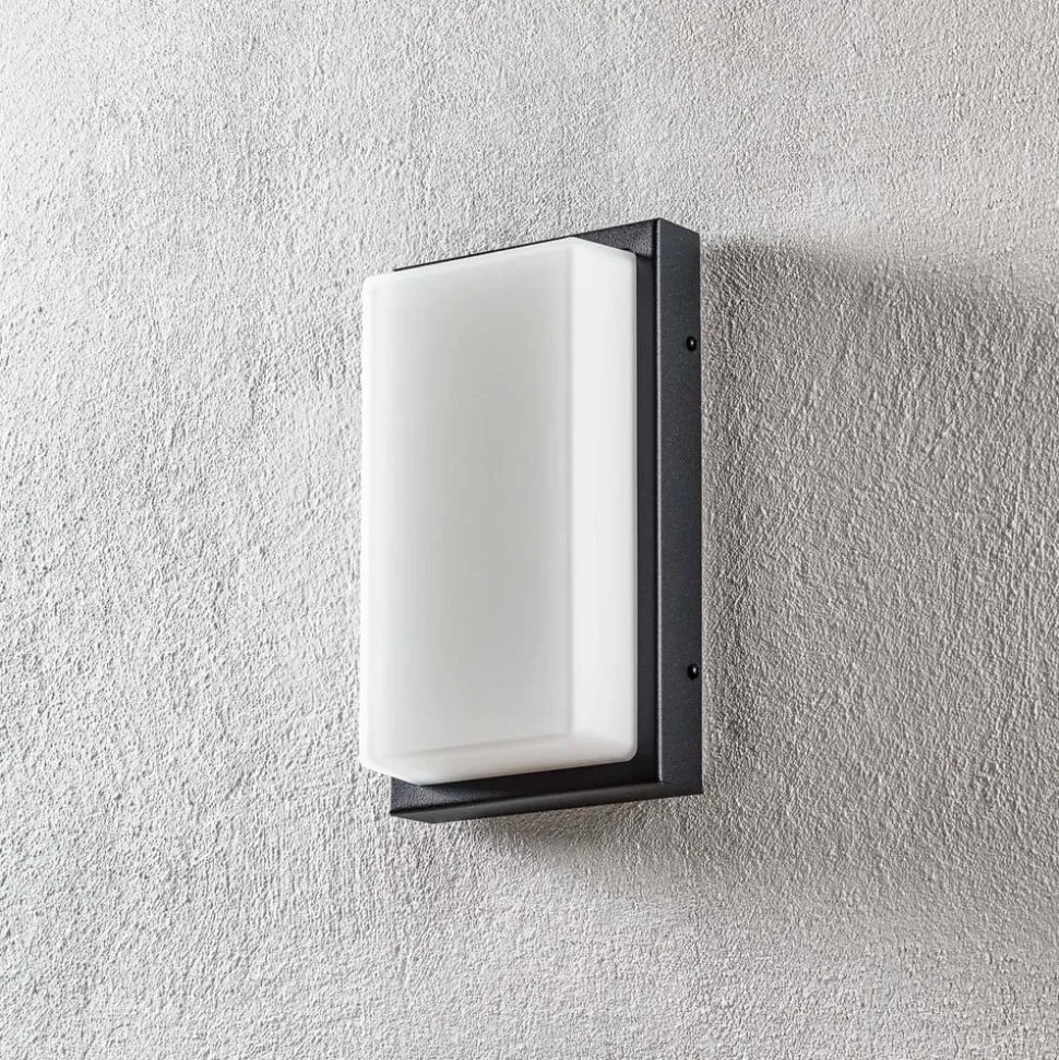 Babett LED buiten wandlamp, roestvrij staal, glas, sensor