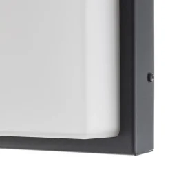 Babett LED buiten wandlamp, roestvrij staal, glas, sensor