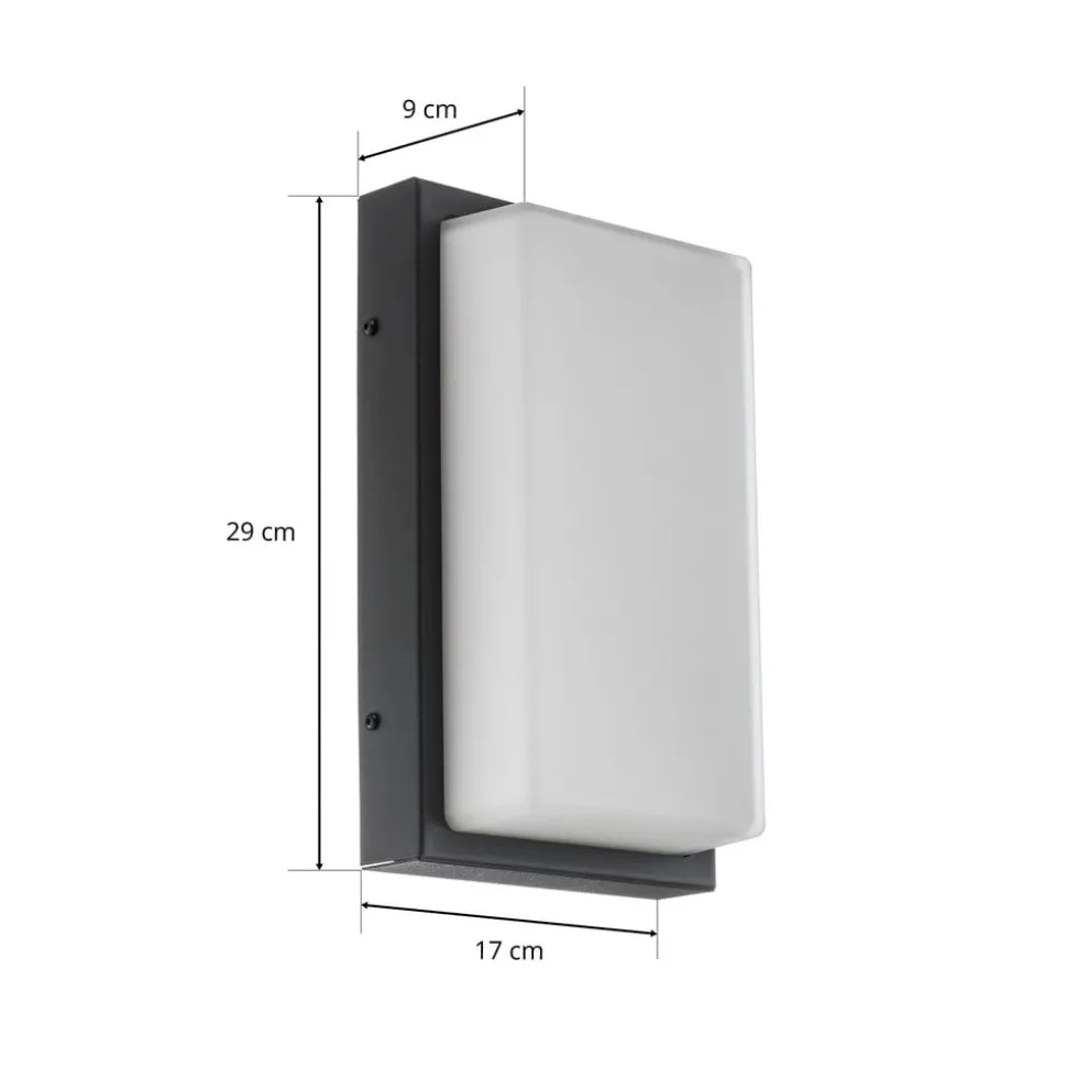 Babett LED buiten wandlamp, roestvrij staal, glas, sensor