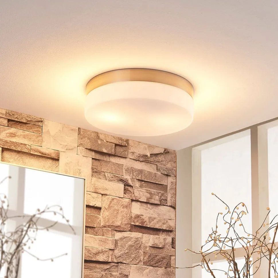 Badkamer plafondlamp Amilia, Ø 23,5 cm, E27, nikkel, glas