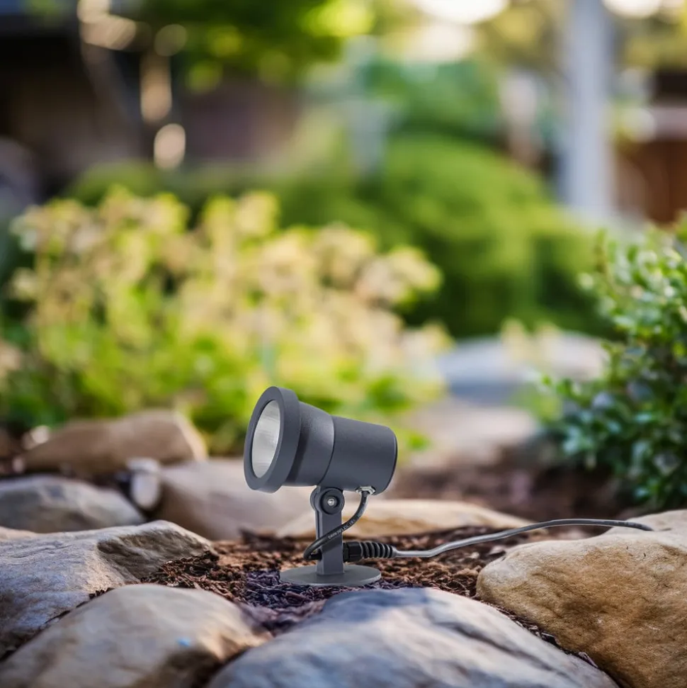 Bega buitenspot 85009, grafiet, gegoten aluminium, stekker