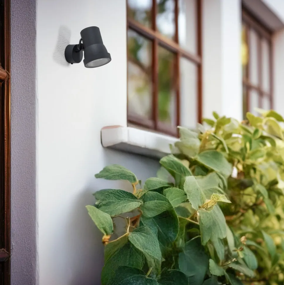 Bega LED spot 84951 K3, aan/uit, grafiet, gegoten aluminium