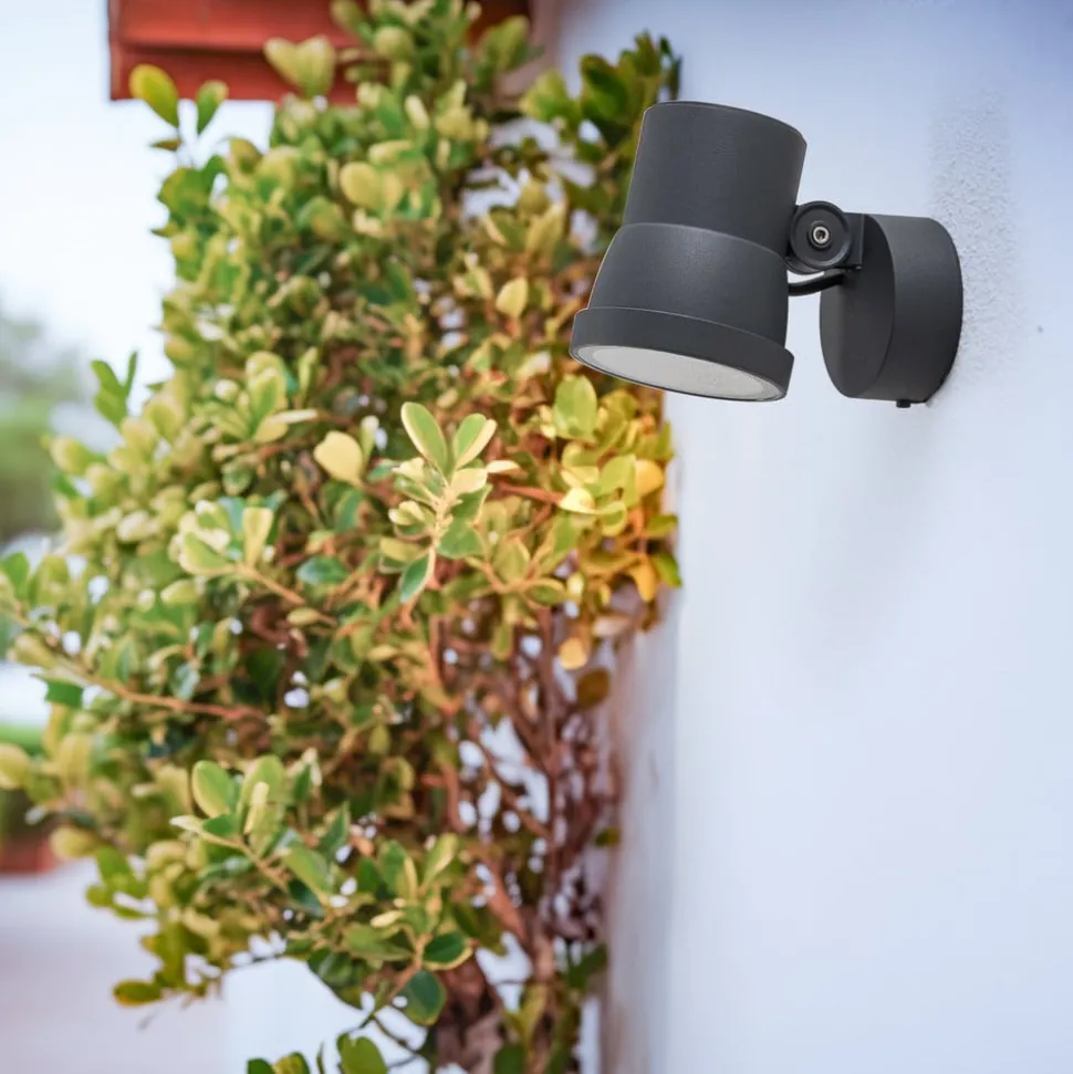 Bega LED spot 84952K3, DALI, grafiet, gegoten aluminium