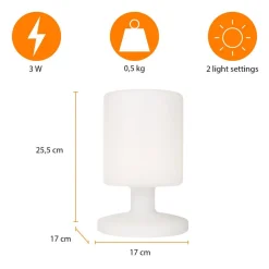 Ben LED tafellamp voor binnen en buiten, oplaadbare batterij