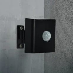 Bewegings- en schemersensor Smart, zwart