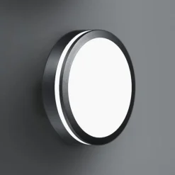 BRUMBERG Eye LED buitenwandlamp ring zwart