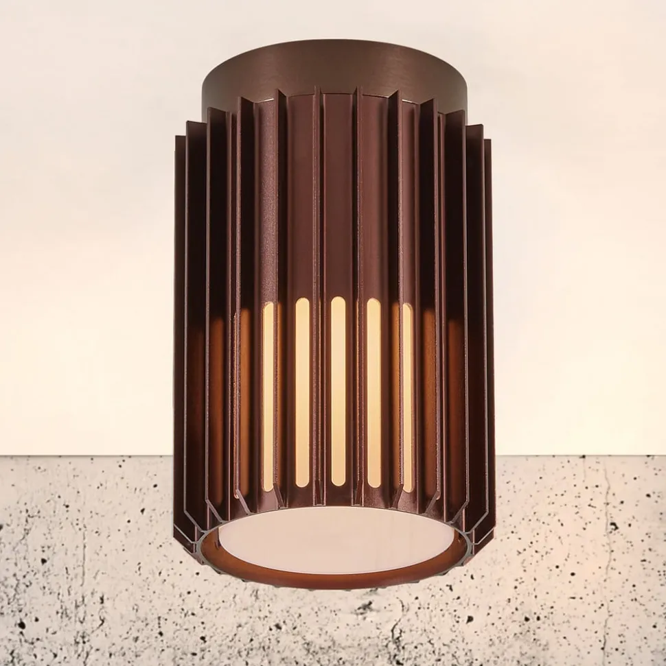 Buiten plafondlamp Aludra, Seaside metallic bruin