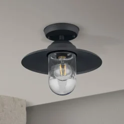 Buiten plafondlamp Edward, antraciet, Ø 27,5 cm, aluminium