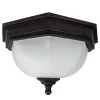 Buiten plafondlamp Fairford