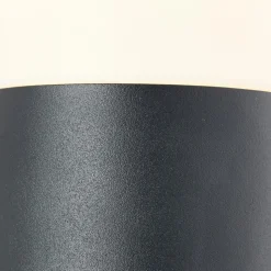 Buitenwandlamp Aberdeen, hoogte 23,2 cm, antraciet, roestvrij staal