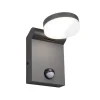 Buitenwandlamp Adour, antraciet, sensor, kantelbaar, CCT