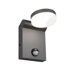 Buitenwandlamp Adour, antraciet, sensor, kantelbaar, CCT