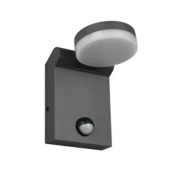 Buitenwandlamp Adour, antraciet, sensor, kantelbaar, CCT