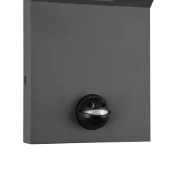 Buitenwandlamp Adour, antraciet, sensor, kantelbaar, CCT