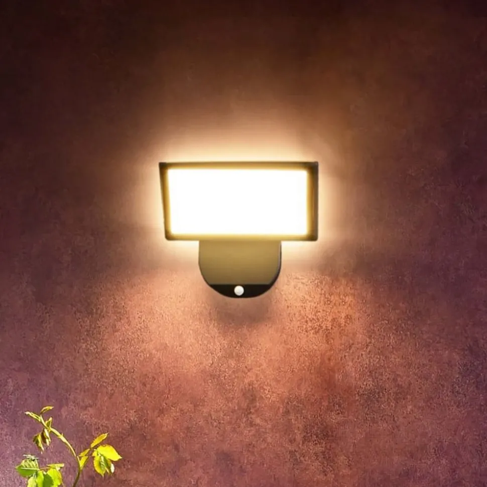 Buitenwandlamp Alkes L met sensor, 30 cm