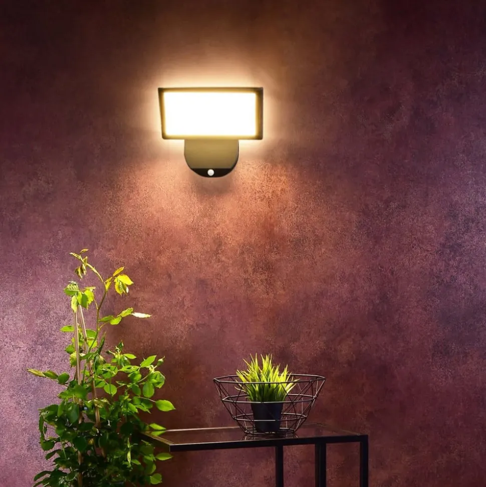 Buitenwandlamp Alkes L met sensor, 30 cm