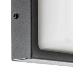 Buitenwandlamp Babett E27 met sensor grafiet