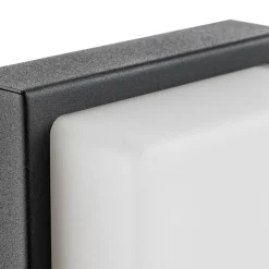 Buitenwandlamp Babett E27 met sensor grafiet