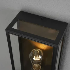 Buitenwandlamp Carpi, zwart, breedte 20,5cm