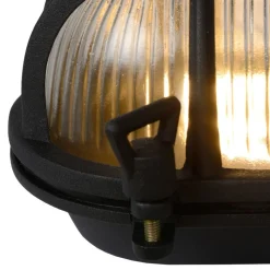 Buitenwandlamp Dudley, zwart