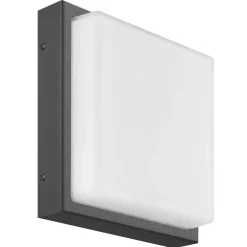 Buitenwandlamp Ernest, grafiet, 25 x 25 cm, E27, roestvrij staal