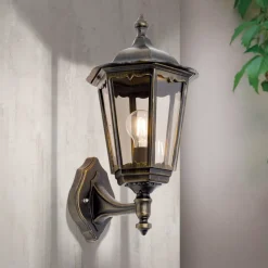 Buitenwandlamp Fabio in zwart-goud