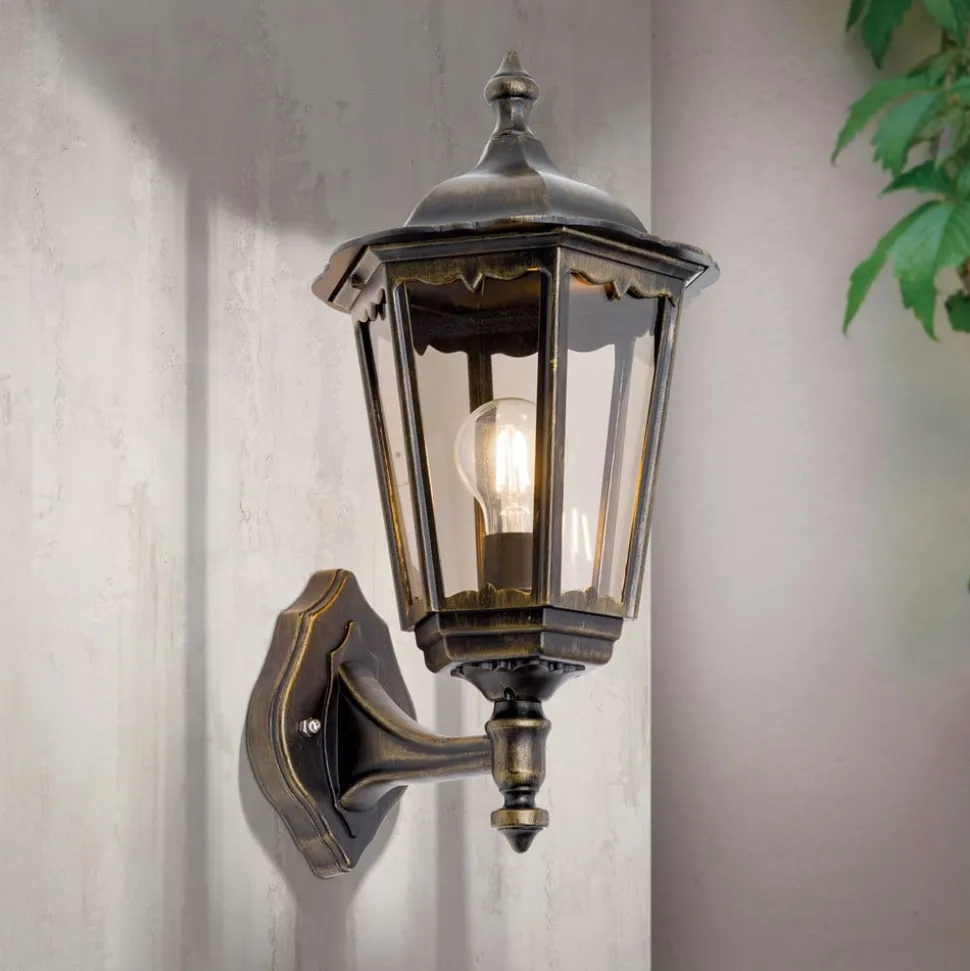 Buitenwandlamp Fabio in zwart-goud