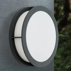 Buitenwandlamp Henry, Ø 30cm antraciet