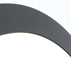 Buitenwandlamp Henry, Ø 30cm antraciet