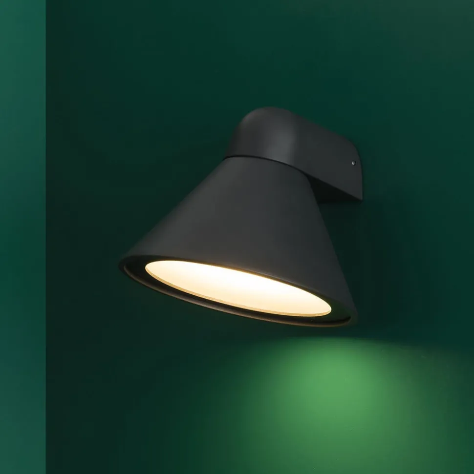 Buitenwandlamp Pals, IP65 donkergrijs