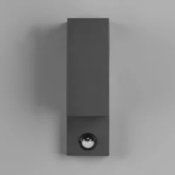 Buitenwandlamp Roya 2-lamps sensor, hoekig