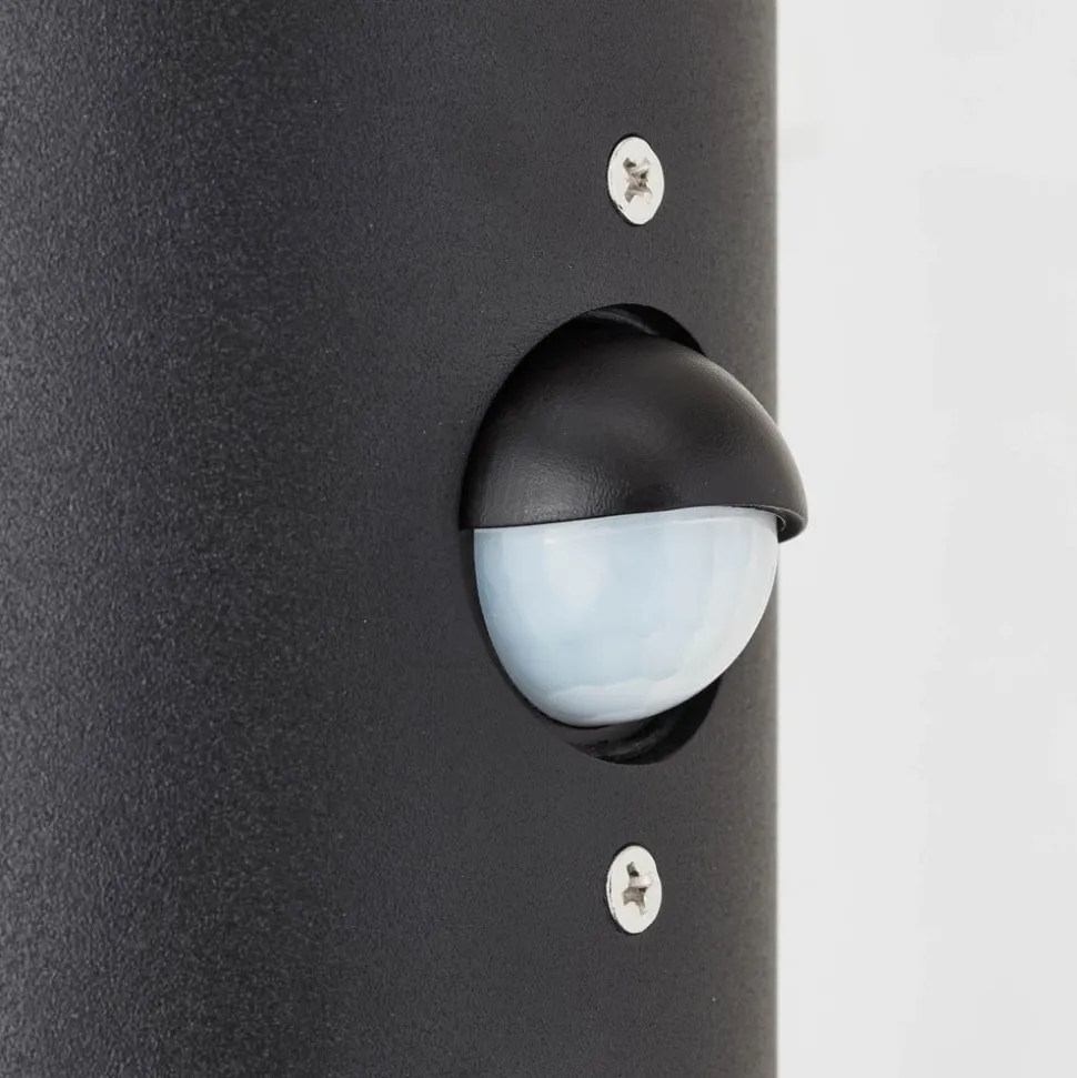 Buitenwandlamp Sergioro, 2-lamps met sensor